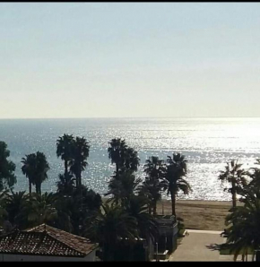 salou alexis II